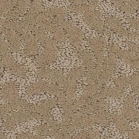 Pattern Ground Clove Beige/Tan Carpet