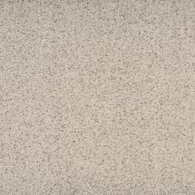Textured Saxony Mannerly Beige/Tan Carpet