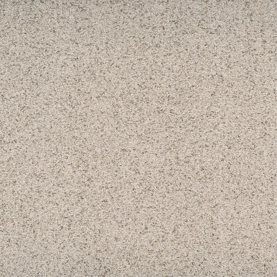 Textured Saxony Mannerly Beige/Tan Carpet