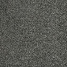 Textured Saxony Established Black Carpet
