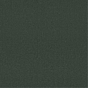 Pattern Polo Green Carpet