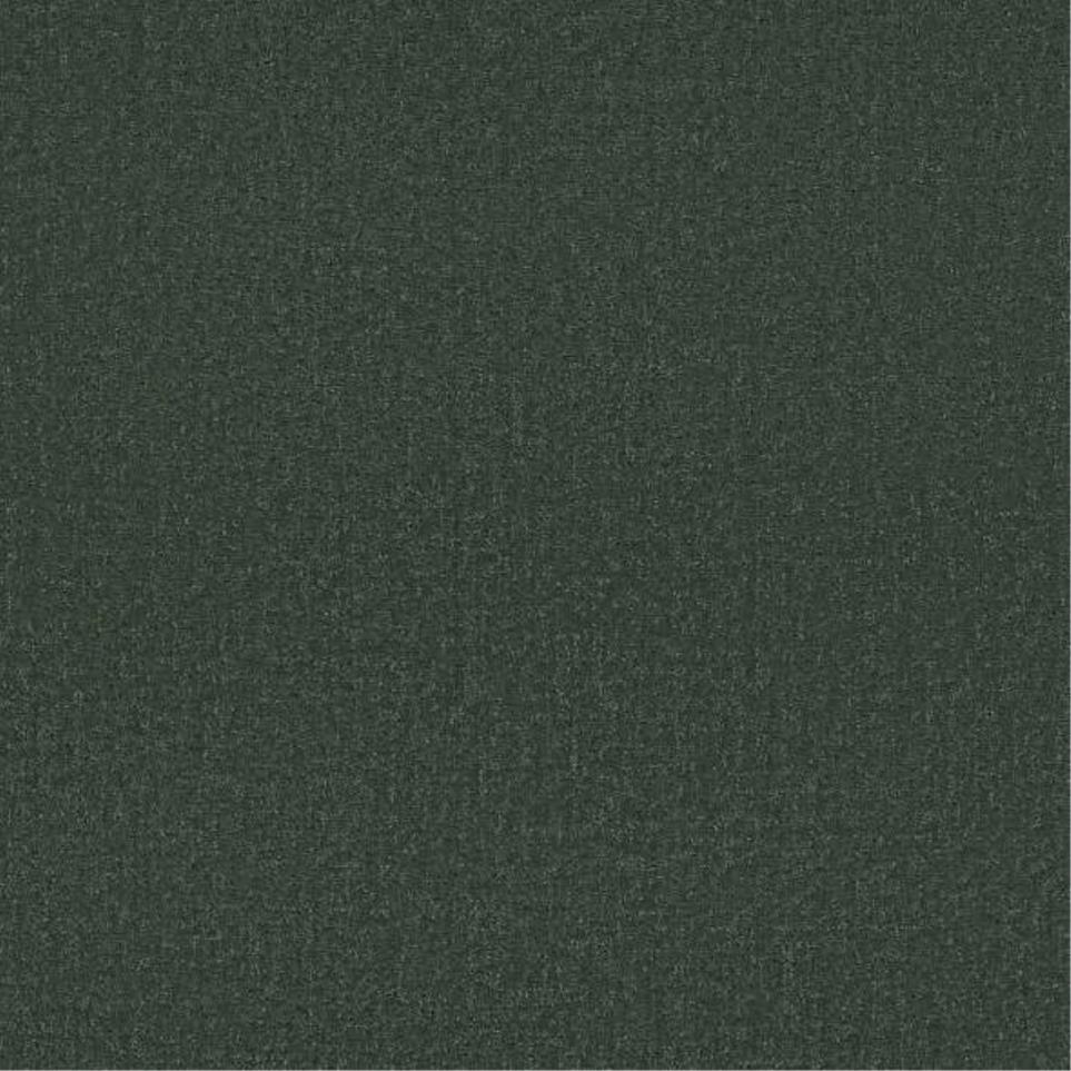 Pattern Polo Green Carpet