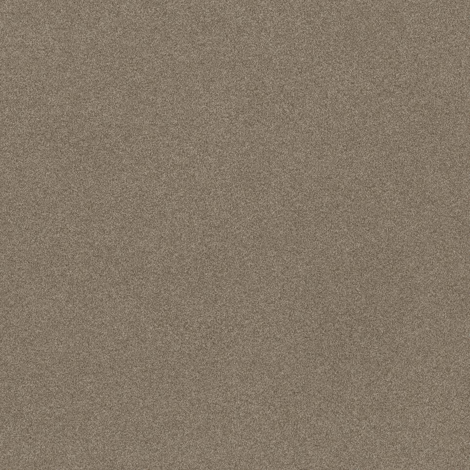 Texture Toffee Beige/Tan Carpet