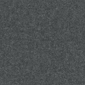 Textured Saxony Song Bird Blue Carpet