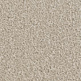 Plush Saxony Coin Gray Carpet