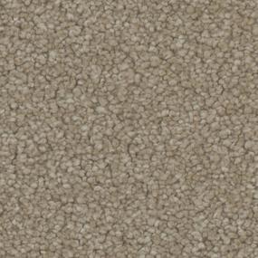 Texture Desire Beige/Tan Carpet