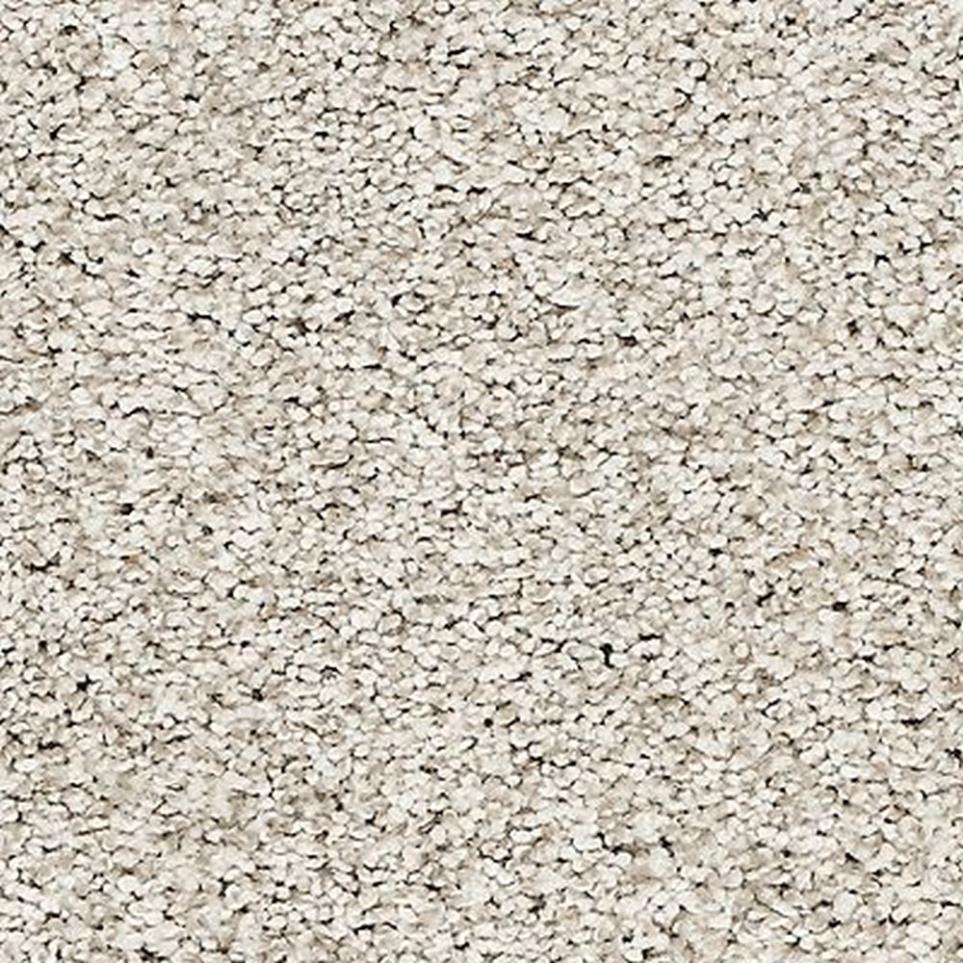 Textured Saxony Haven Beige/Tan Carpet