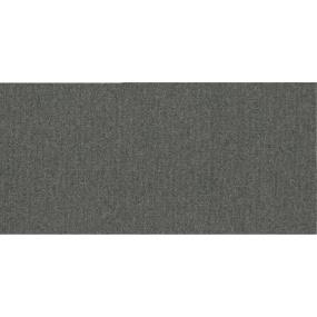 Loop Great Day Gray Carpet