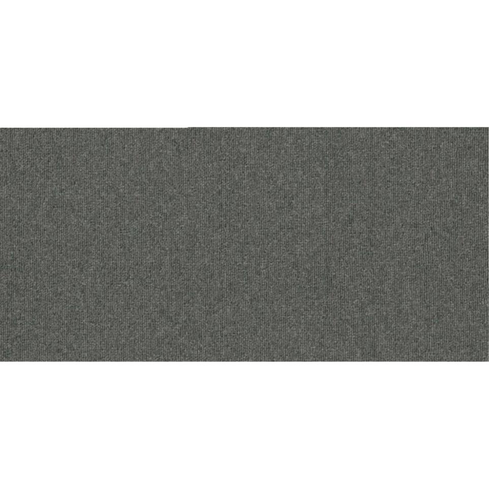 Loop Great Day Gray Carpet