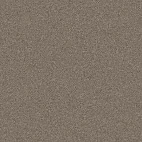 Casual Texture Cafe Beige/Tan Carpet