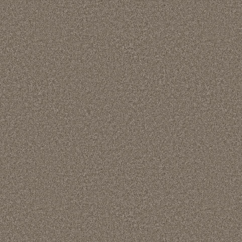 Casual Texture Cafe Beige/Tan Carpet