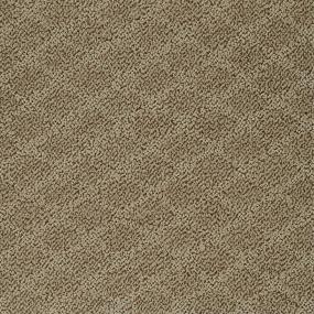 Pattern Tango Brown Carpet