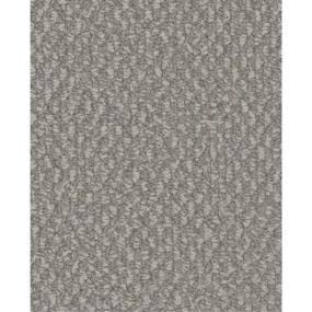 Loop Visionary Gray Carpet
