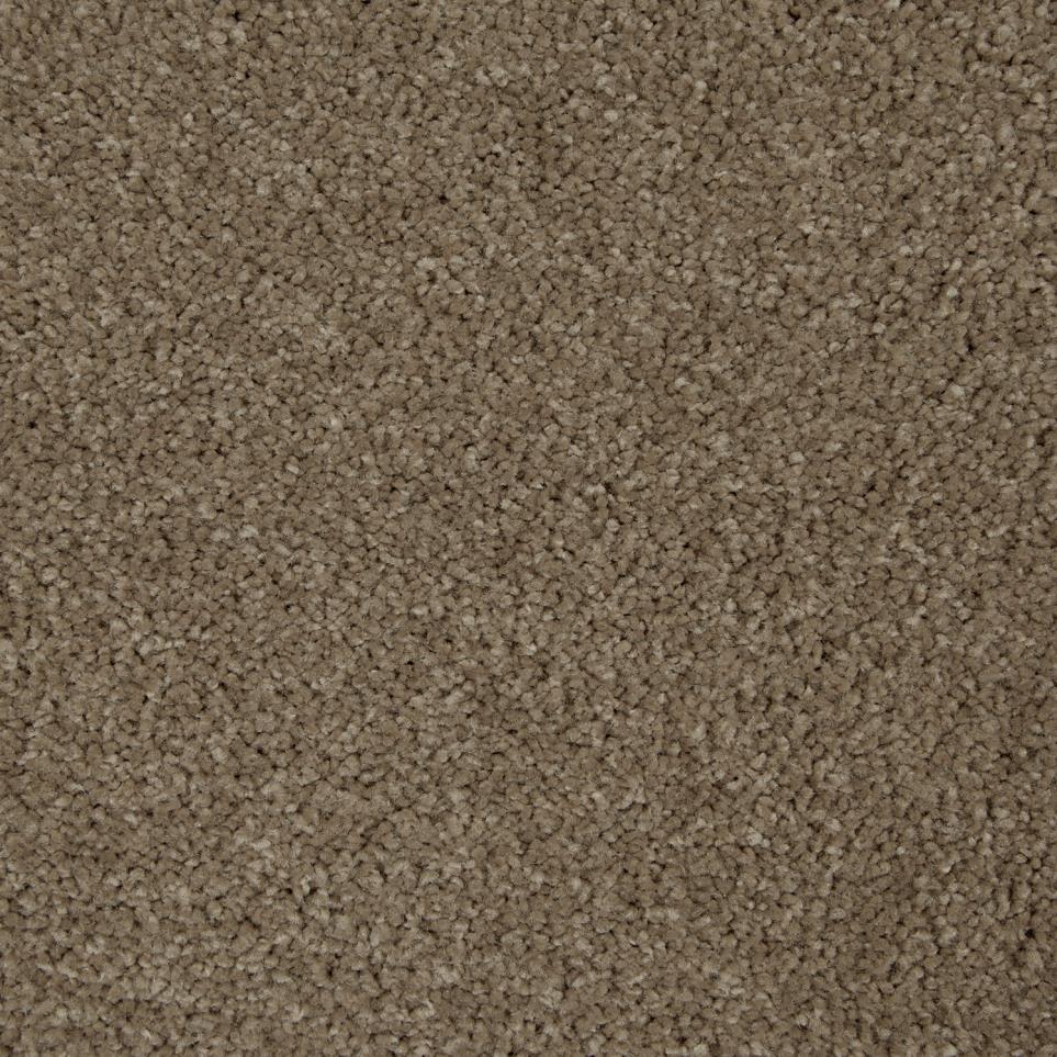 Texture Trail Blazer Brown Carpet