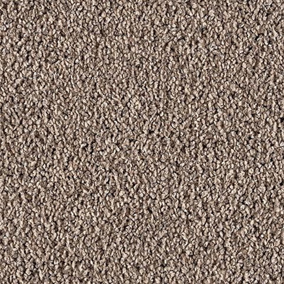 Textured Saxony Urbane Brown Carpet