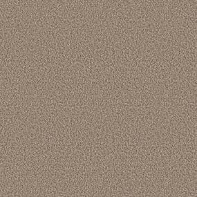 Textured Saxony Top Authority Beige/Tan Carpet