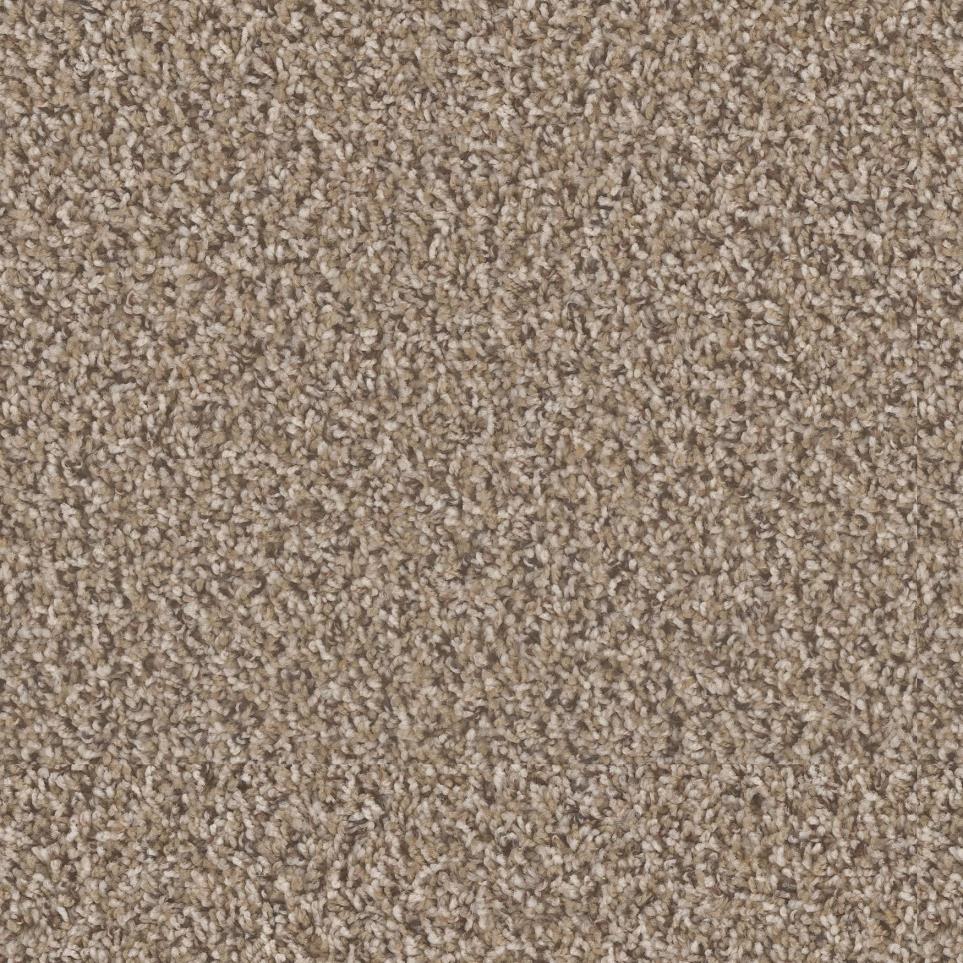 Texture Top Authority Beige/Tan Carpet