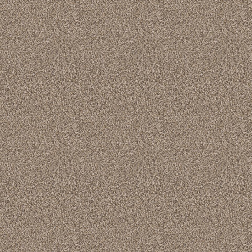 Texture Top Authority Beige/Tan Carpet