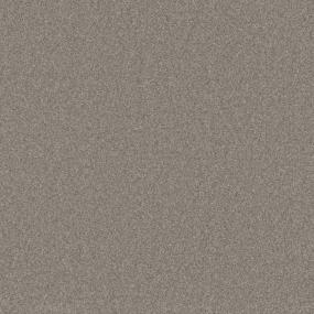 Textured Saxony Roadside Beige/Tan Carpet