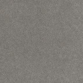 Cut Pile Established Gray Carpet