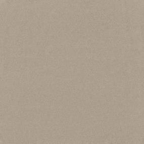 Textured Saxony Parchment Beige/Tan Carpet