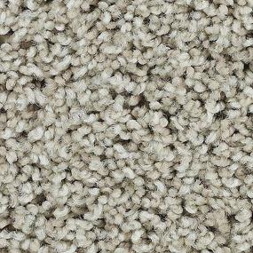 Textured Saxony HEATHERY TINT Gray Carpet