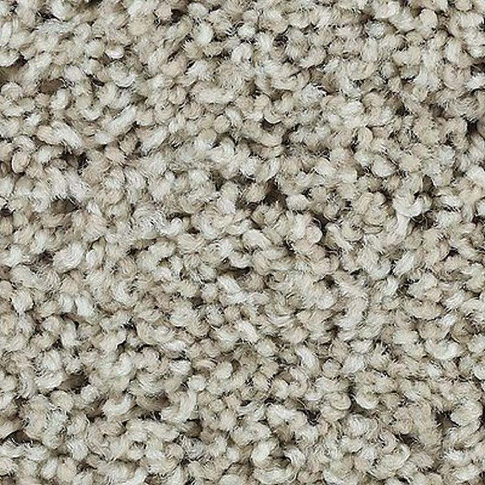 Textured Saxony HEATHERY TINT Gray Carpet