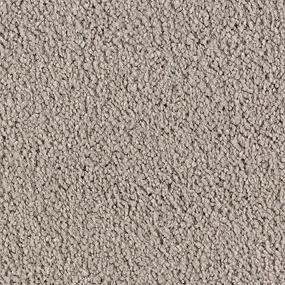 Cut Pile Cafe Noir Gray Carpet