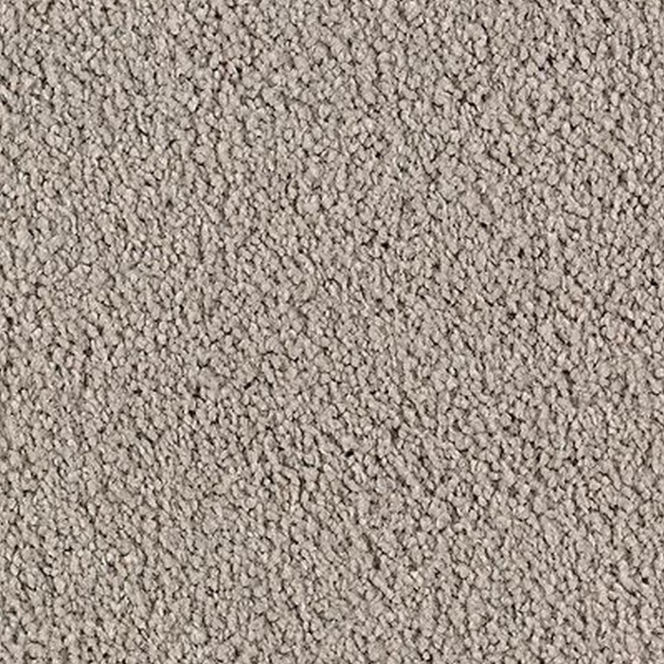 Cut Pile Cafe Noir Gray Carpet