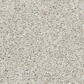 Textured Saxony Silver Fox Gray Carpet