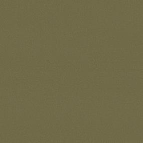 Texture Grenada Green Carpet