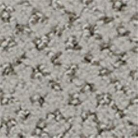 Pattern Oyster Shell Gray Carpet