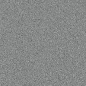 Textured Saxony Stonewashed Gray Carpet