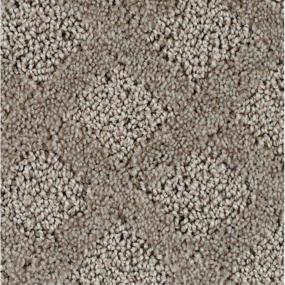 Pattern Waterlogged Beige/Tan Carpet
