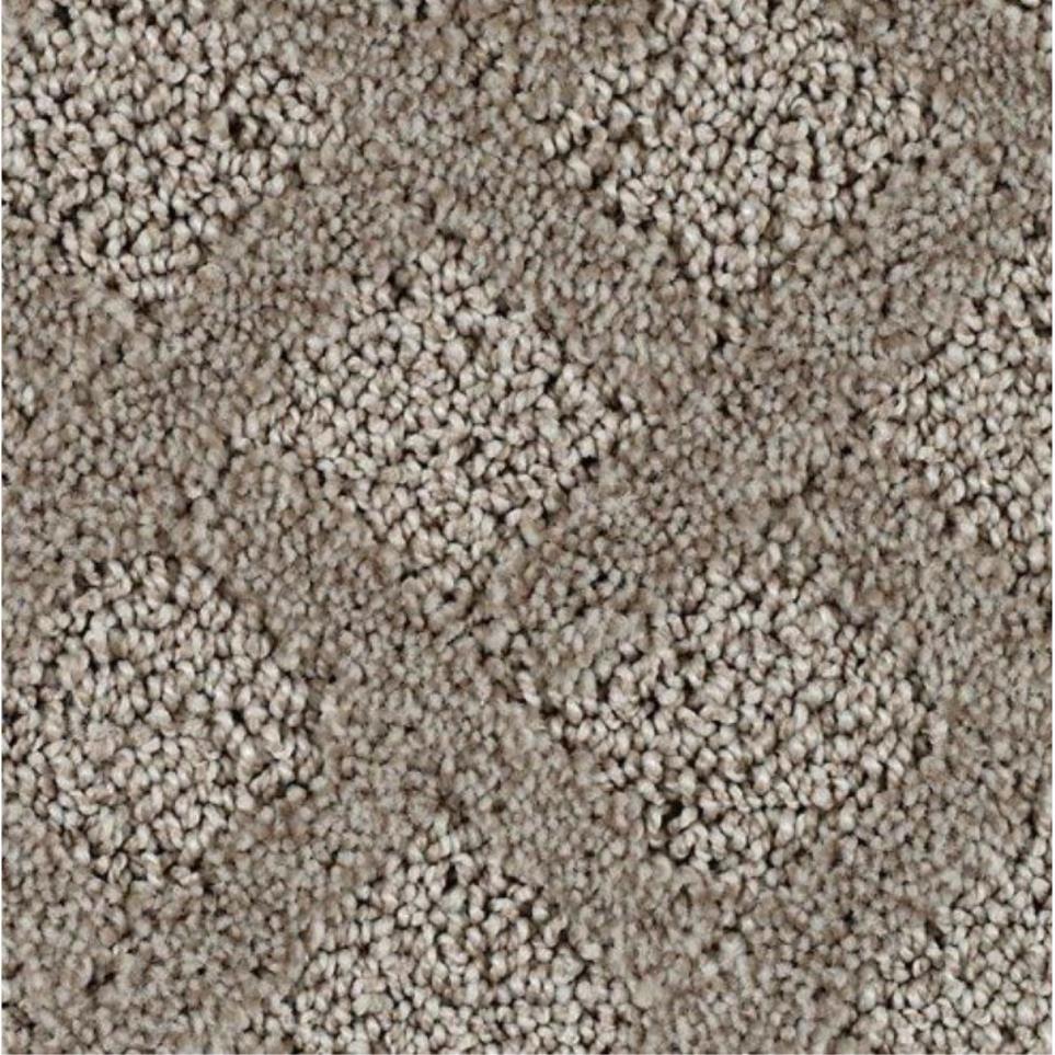 Pattern Waterlogged Beige/Tan Carpet