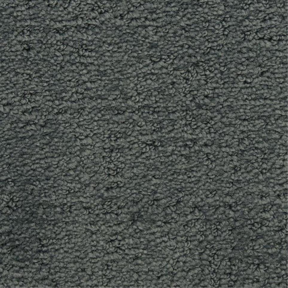 Pattern Sycamore Gray Carpet