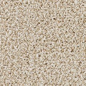 Textured Saxony Folkstone Beige/Tan Carpet