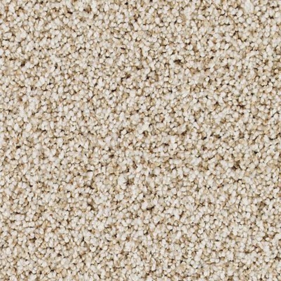 Textured Saxony Folkstone Beige/Tan Carpet