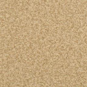 Casual Texture Hemp Beige/Tan Carpet