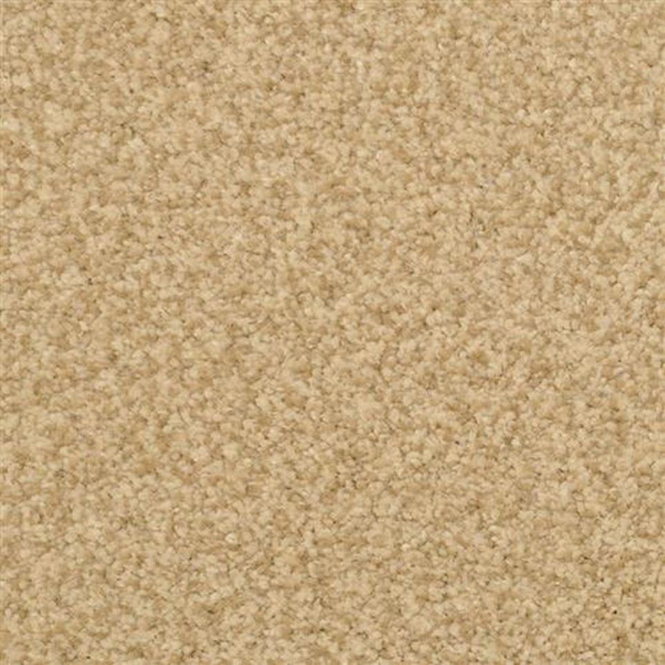 Casual Texture Hemp Beige/Tan Carpet