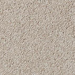 Textured Saxony Briarwood Gray Carpet