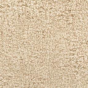 Textured Saxony Ivory Cream White Carpet