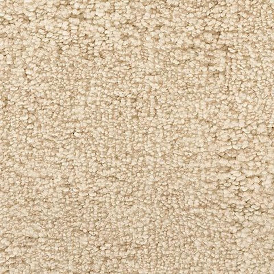 Textured Saxony Ivory Cream White Carpet