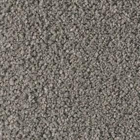 Textured Saxony Boardwalk Gray Carpet