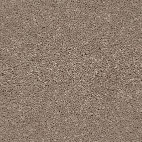 Texture Afternoon Beige/Tan Carpet