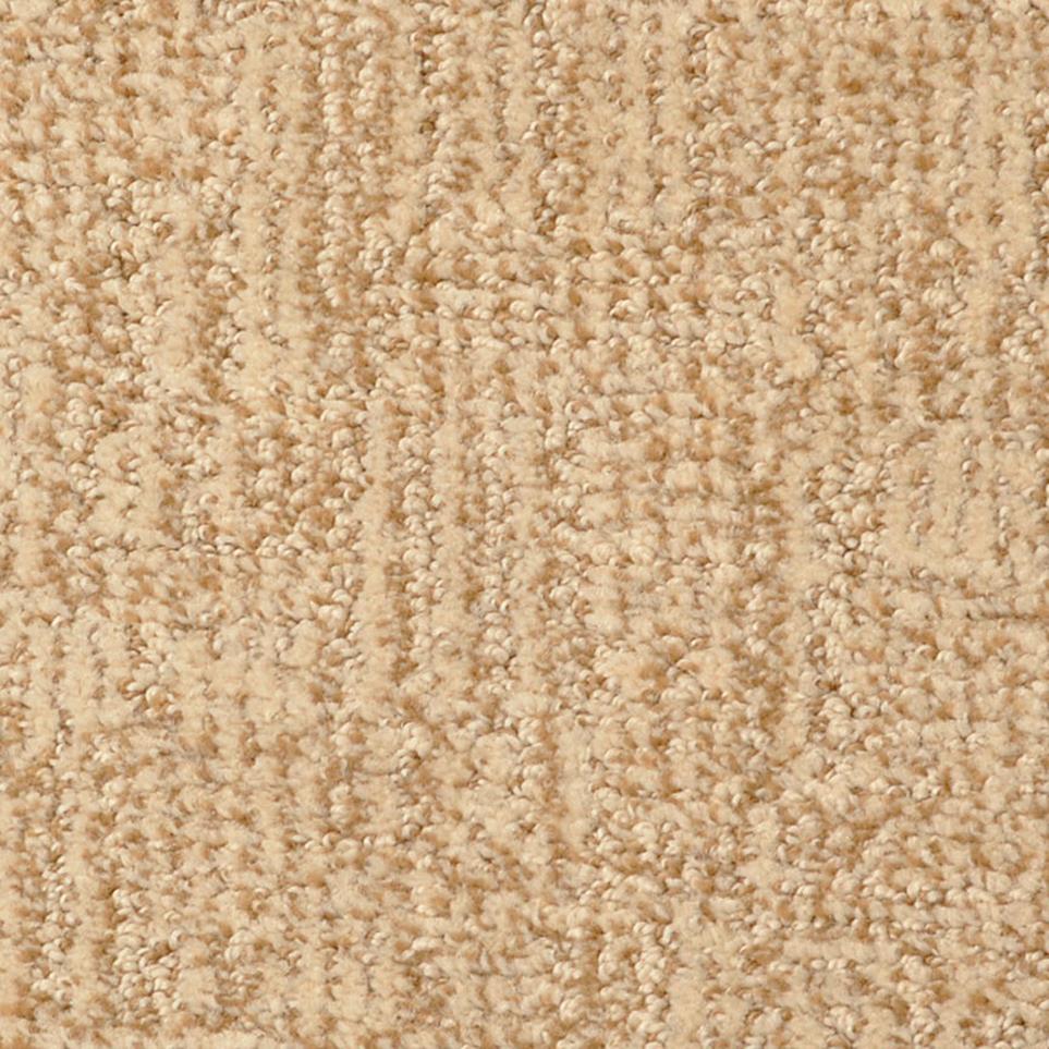 Pattern Coventry Beige/Tan Carpet