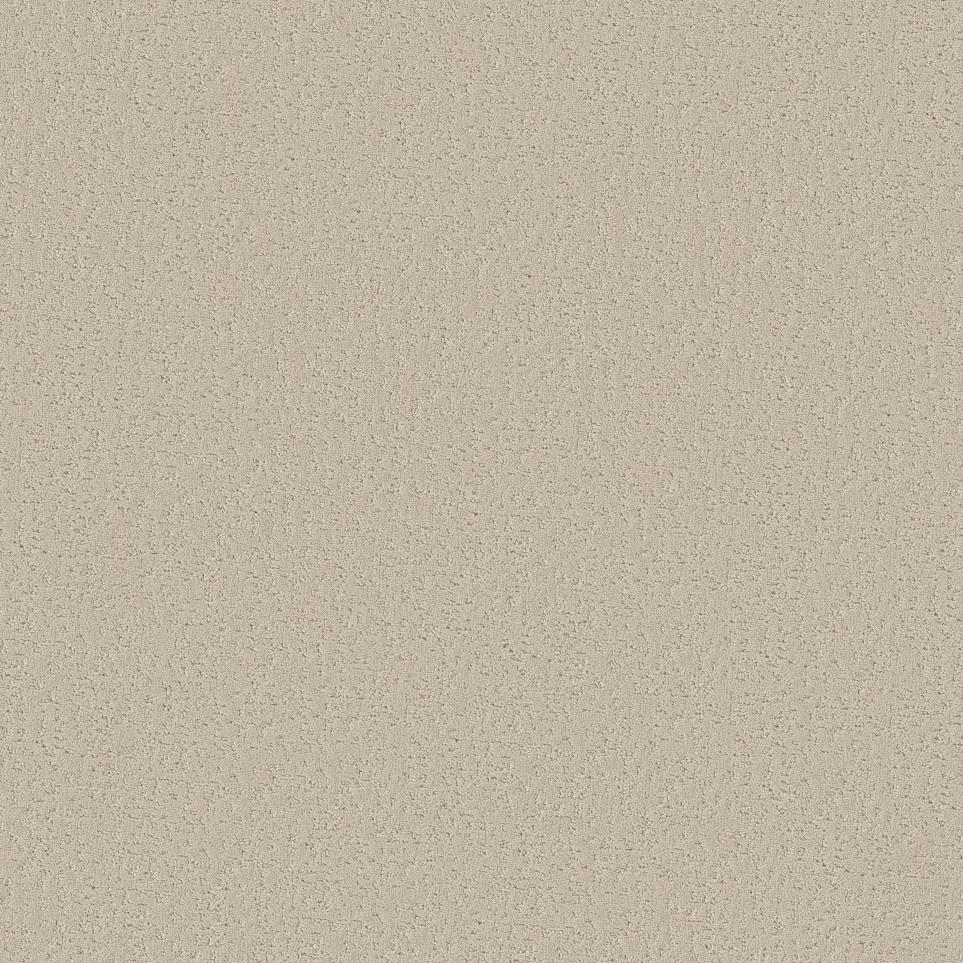 Pattern Baja Beige/Tan Carpet