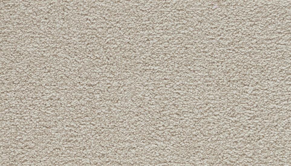 Textured Saxony Spool Beige/Tan Carpet