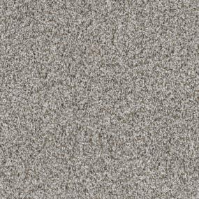 Textured Saxony Nickel                         Gray Carpet