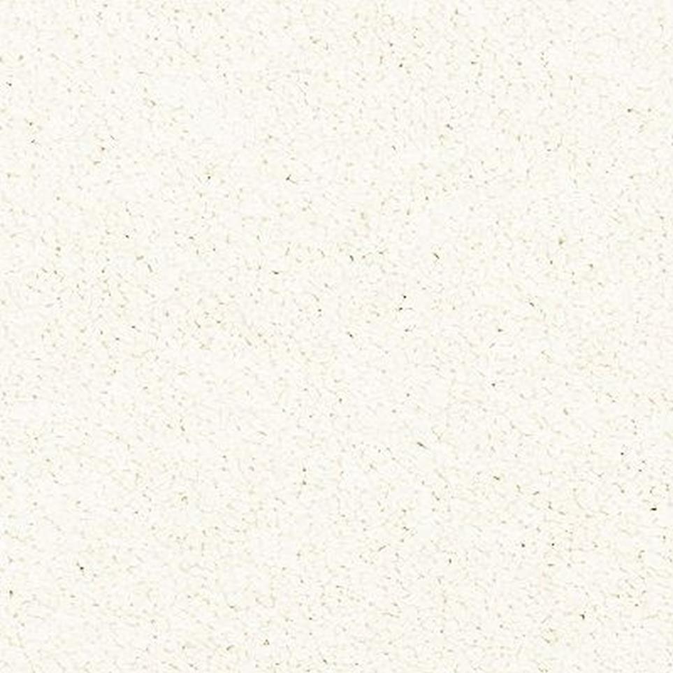 Textured Saxony Oyster White Carpet